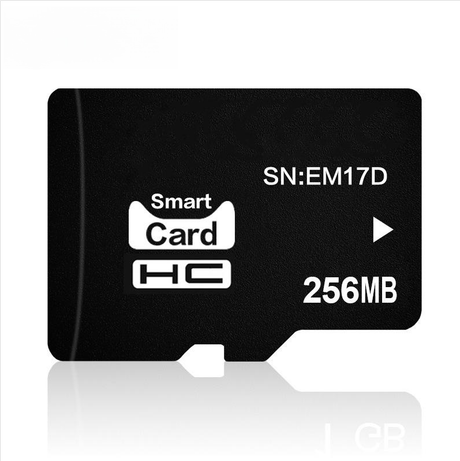 256MB Mini Memory Card